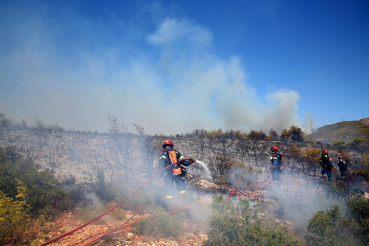 incendi grecia attica atene