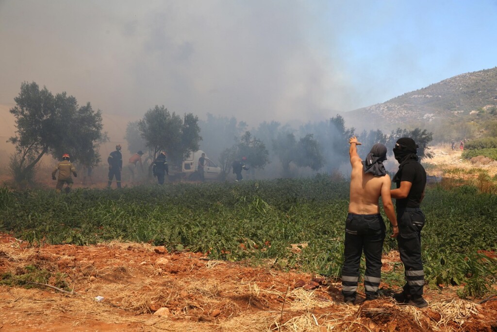 incendi grecia attica atene