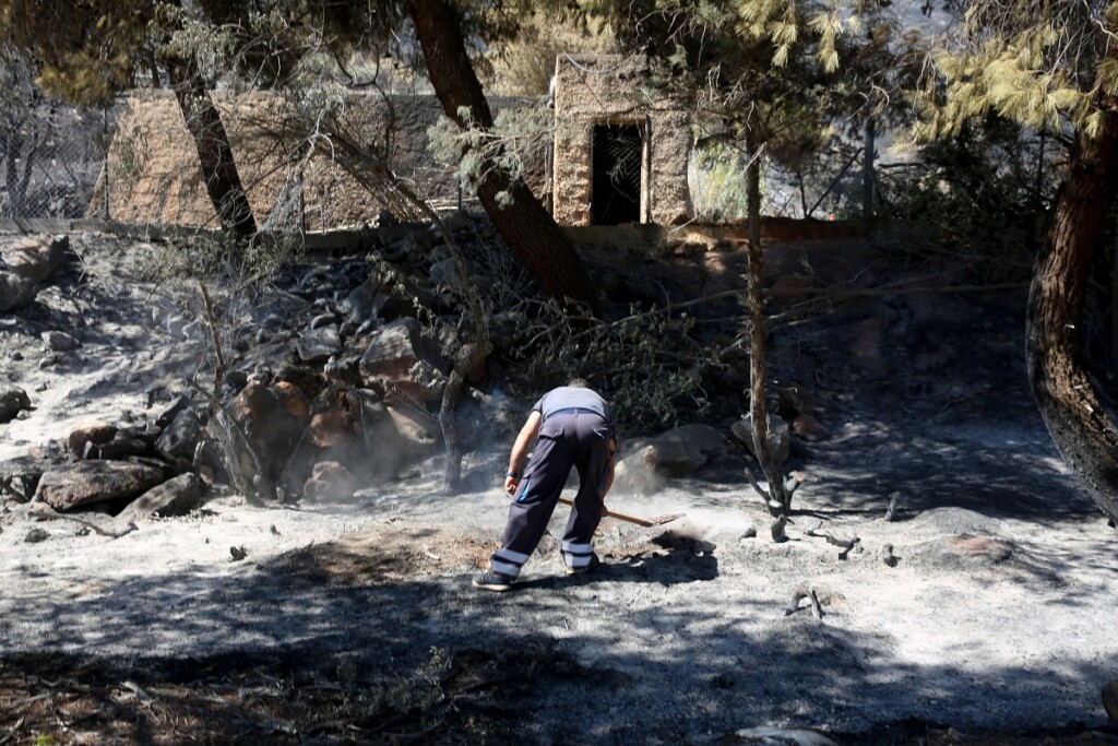 incendi grecia attica atene