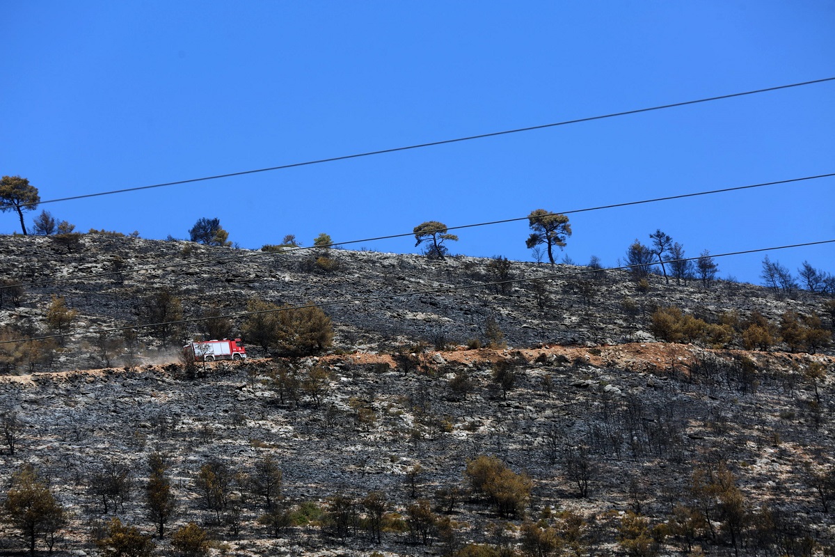 incendi grecia attica atene