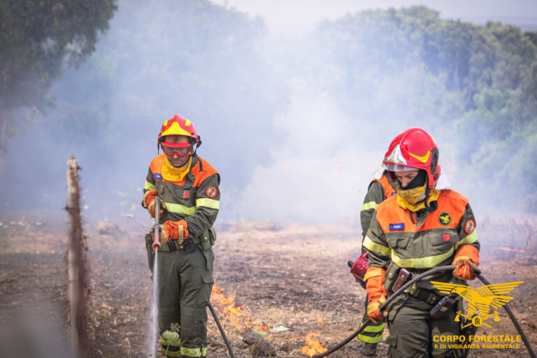 incendi sardegna