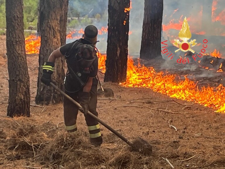 incendio bosco