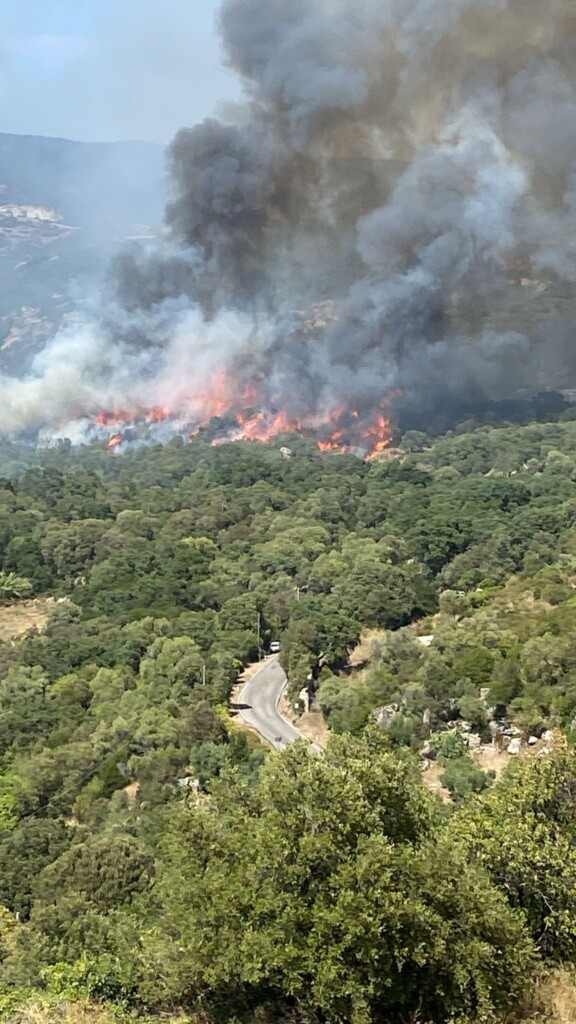 incendio calangianus sardegna