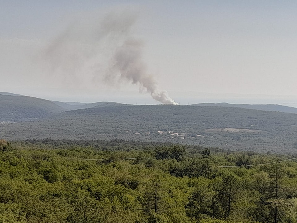 incendio carso