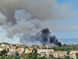 incendio castelnuovo di porto lazio