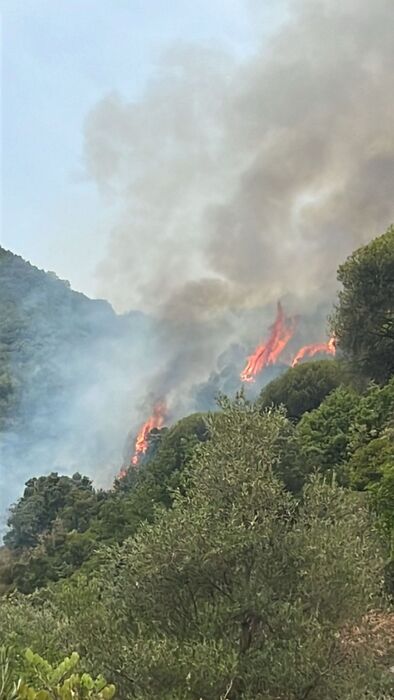 incendi cetara campania