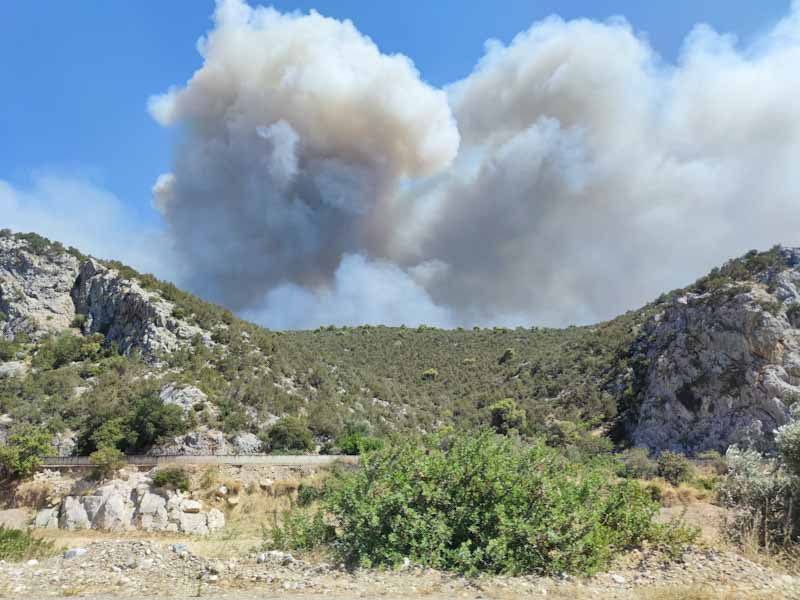 incendio grecia eubea