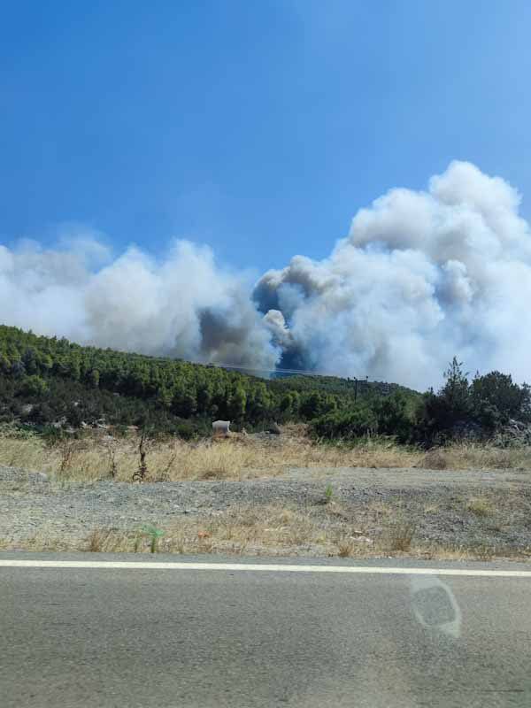 incendio grecia eubea