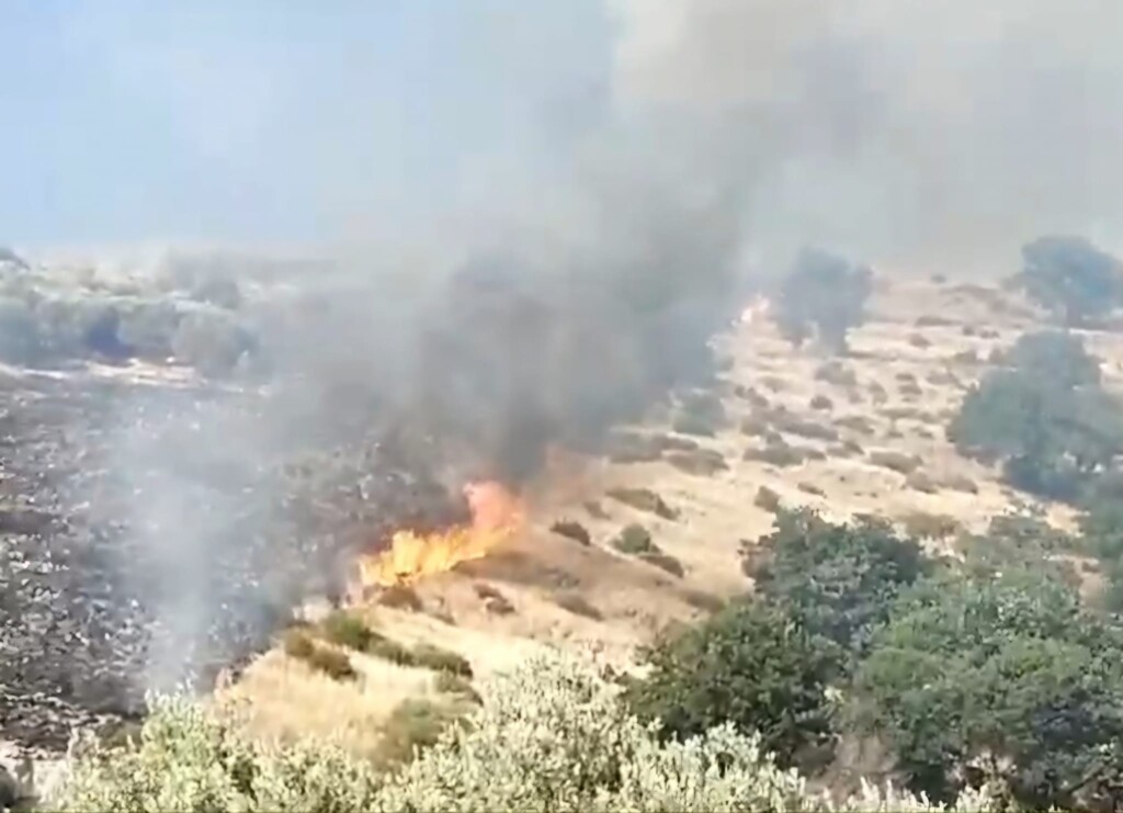 incendio monti alburni