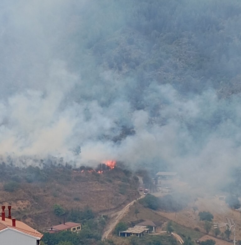 incendio san giovanni in fiore calabria