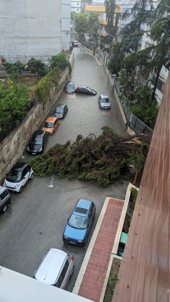 maltempo bisceglie puglia