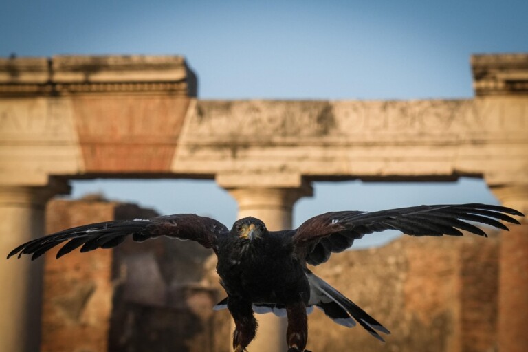 rapaci guardiani pompei