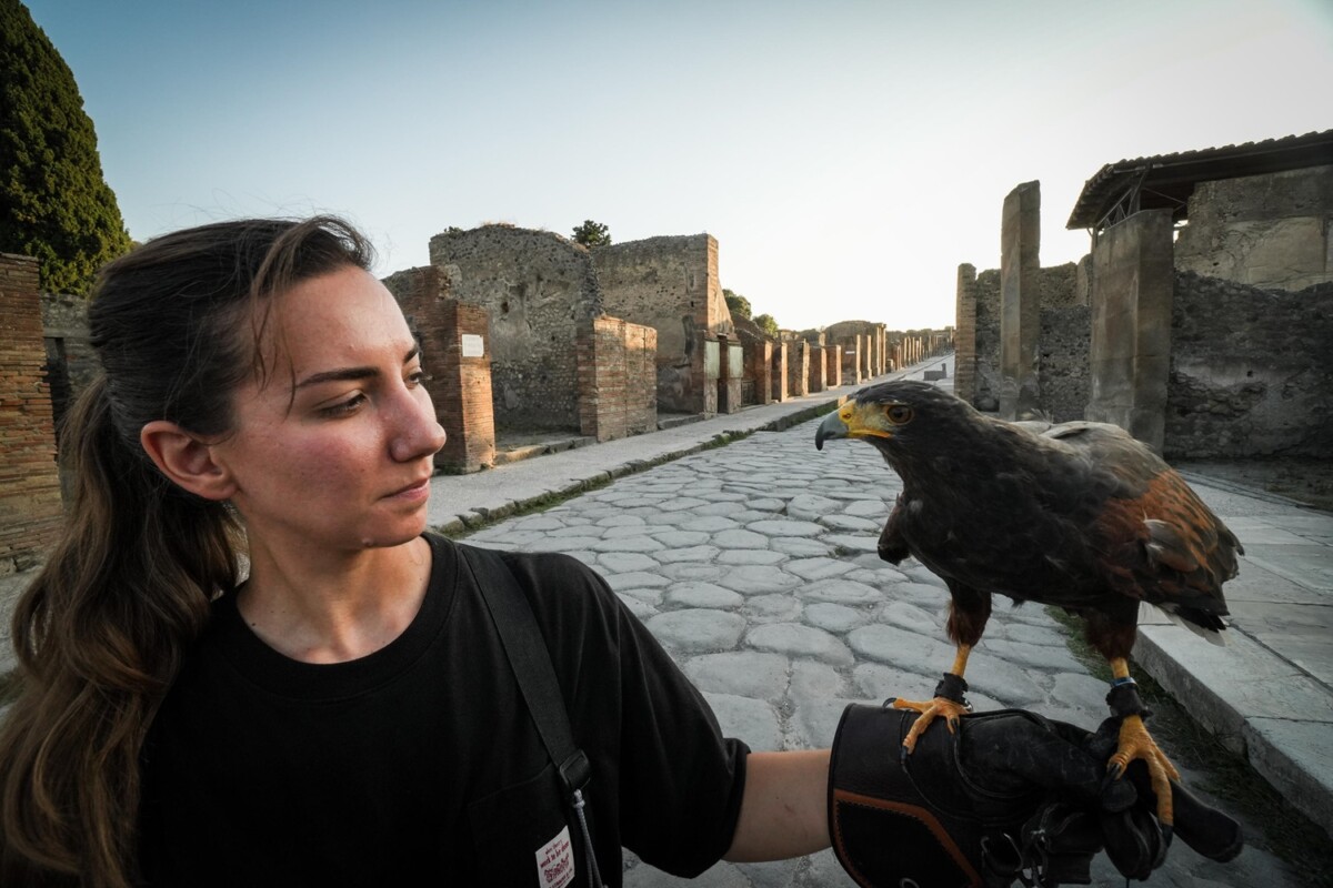 rapaci guardiani pompei