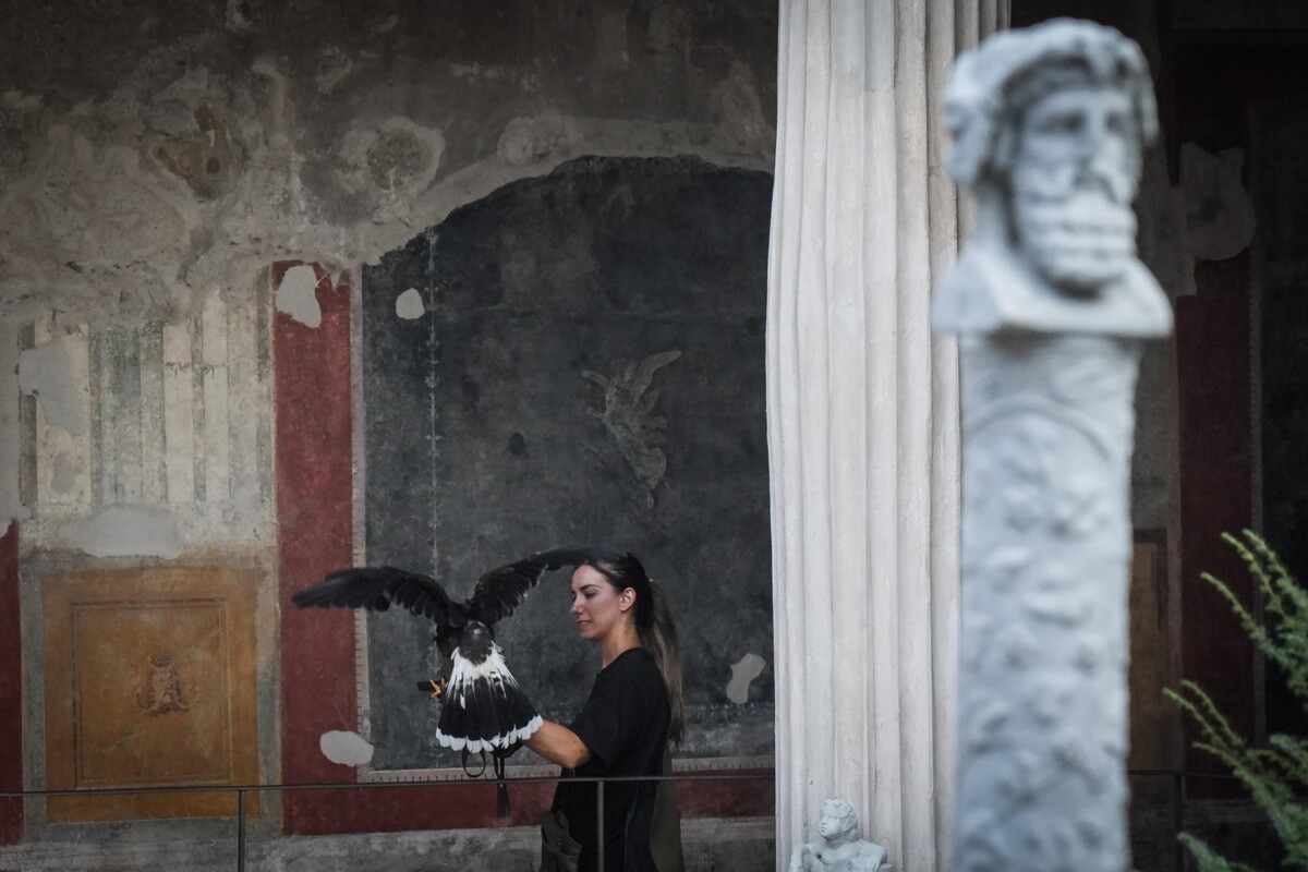 rapaci guardiani pompei