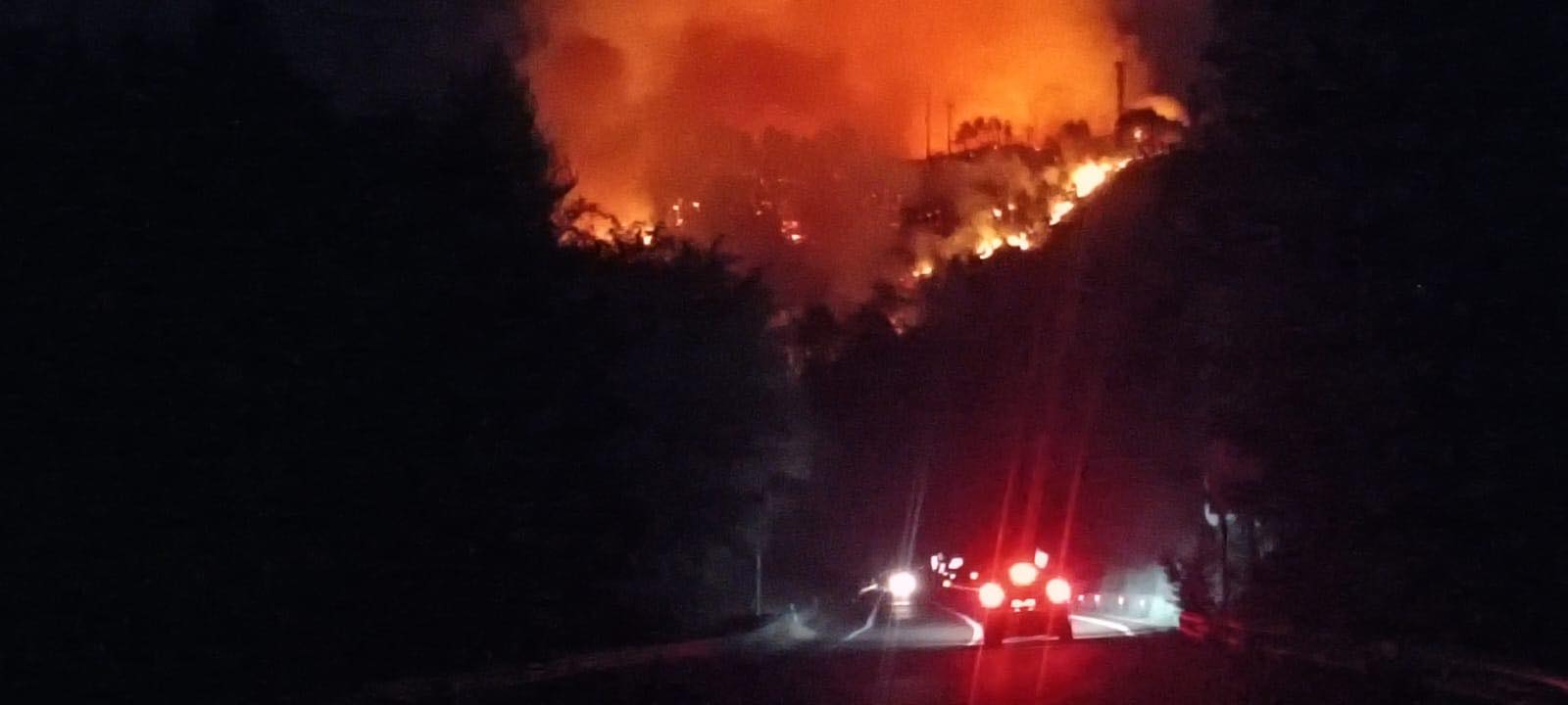 Calabria Fulmine Provoca Incendio Notte Di Fuoco A San Giovanni In Fiore Foto