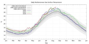 temperatura record mediterraneo 15 agosto 2024