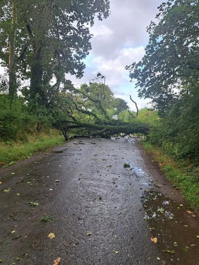 tempesta lilian regno unito