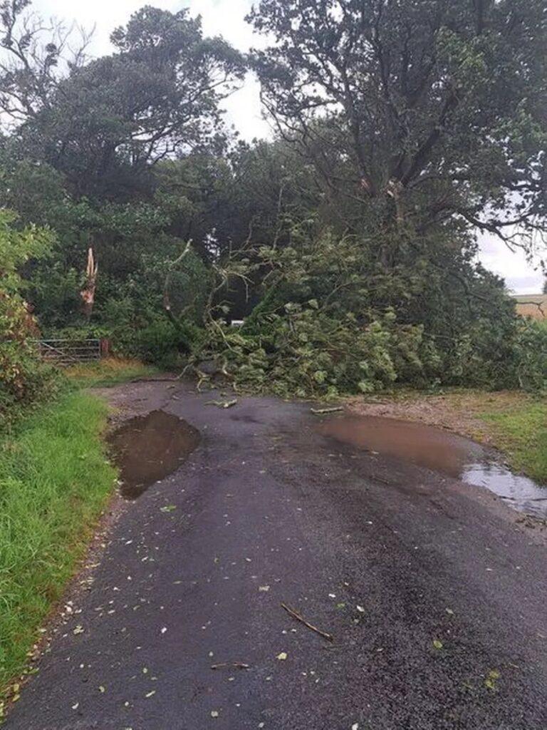 tempesta lilian regno unito