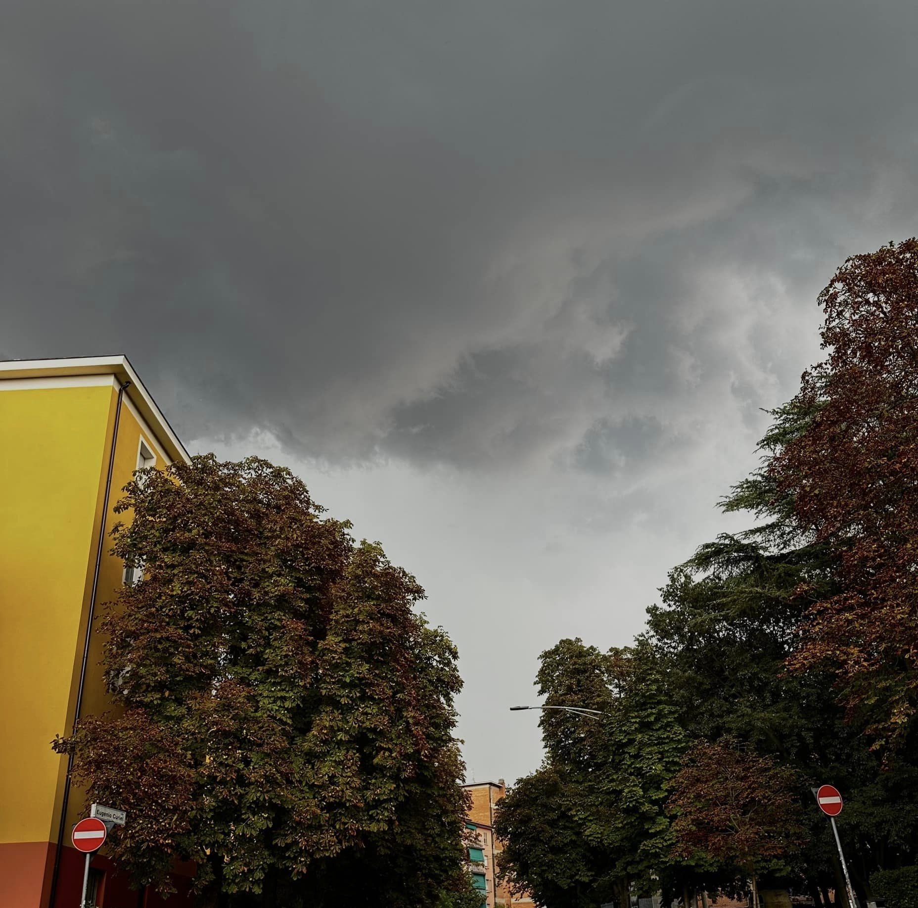 Maltempo, violento temporale in Emilia Romagna: grandine e downburst nel Bolognese, danni e disagi | FOTO e VIDEO