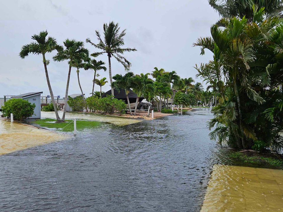 tempesta tropicale uragano debby florida