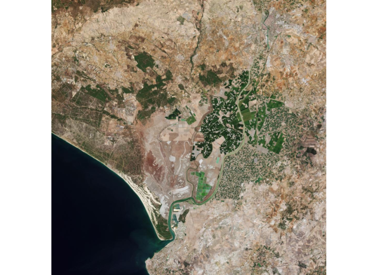 Sentinel-2C