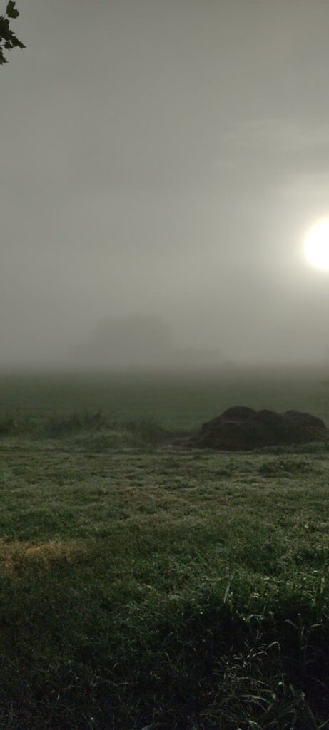 nebbia val padana