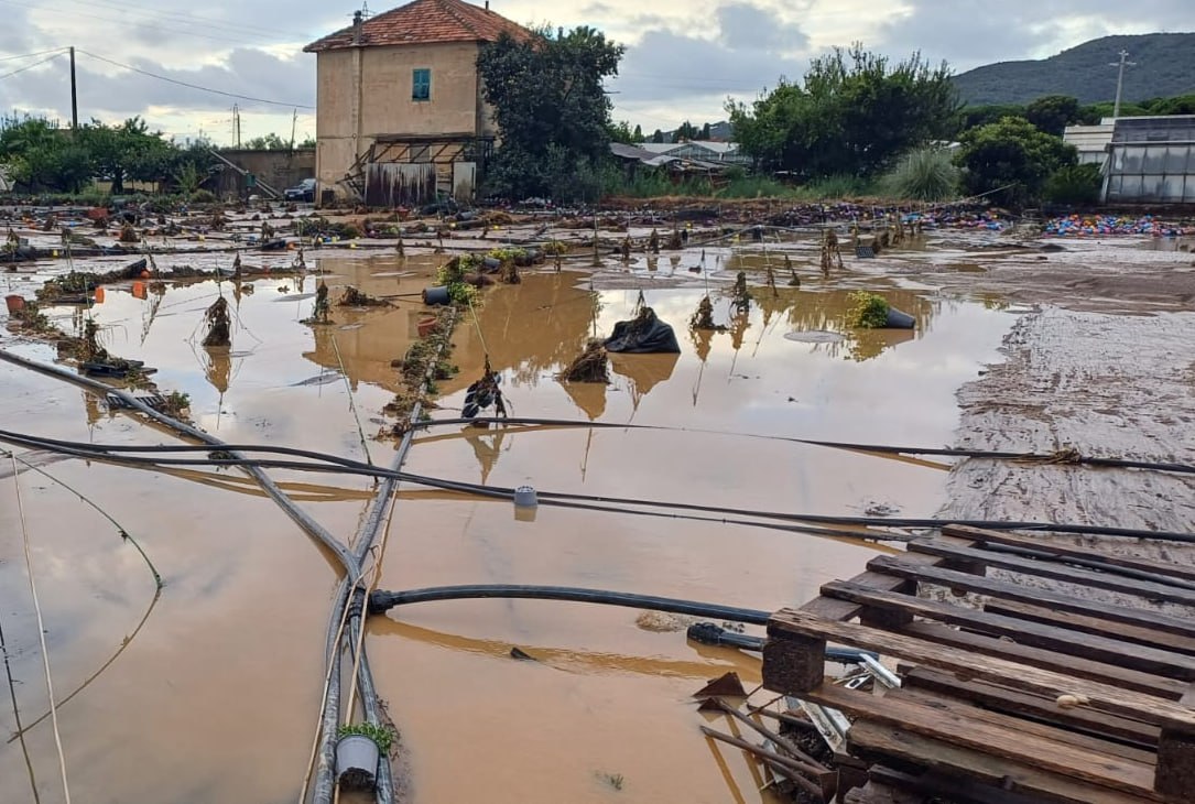 allagamenti savona albenga