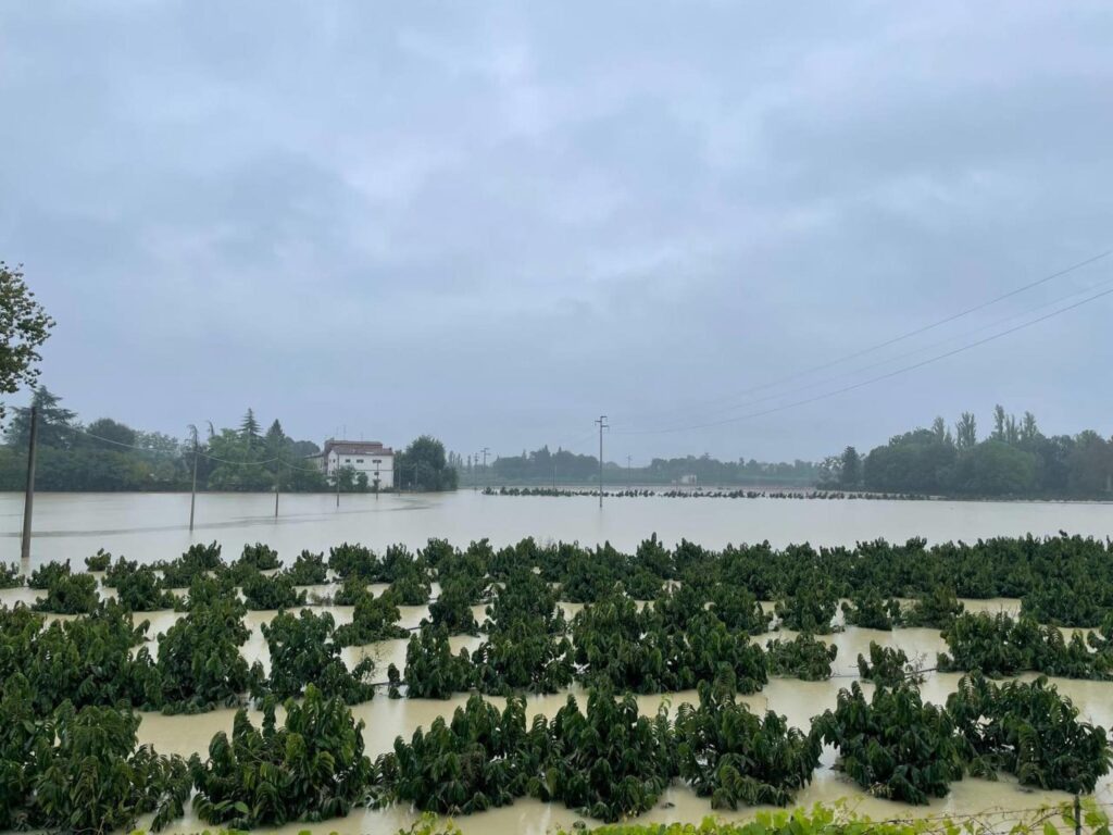 alluvione emilia romagna