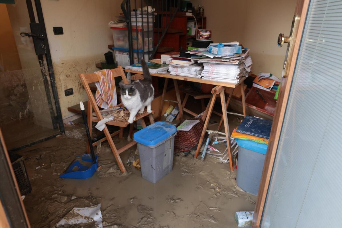 alluvione romagna 20 settembre 2024