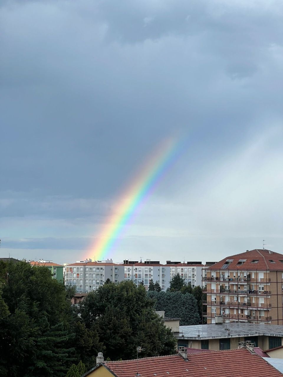 arcobaleno torinese