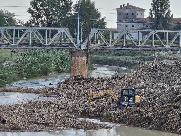 fiume lamone boncellino