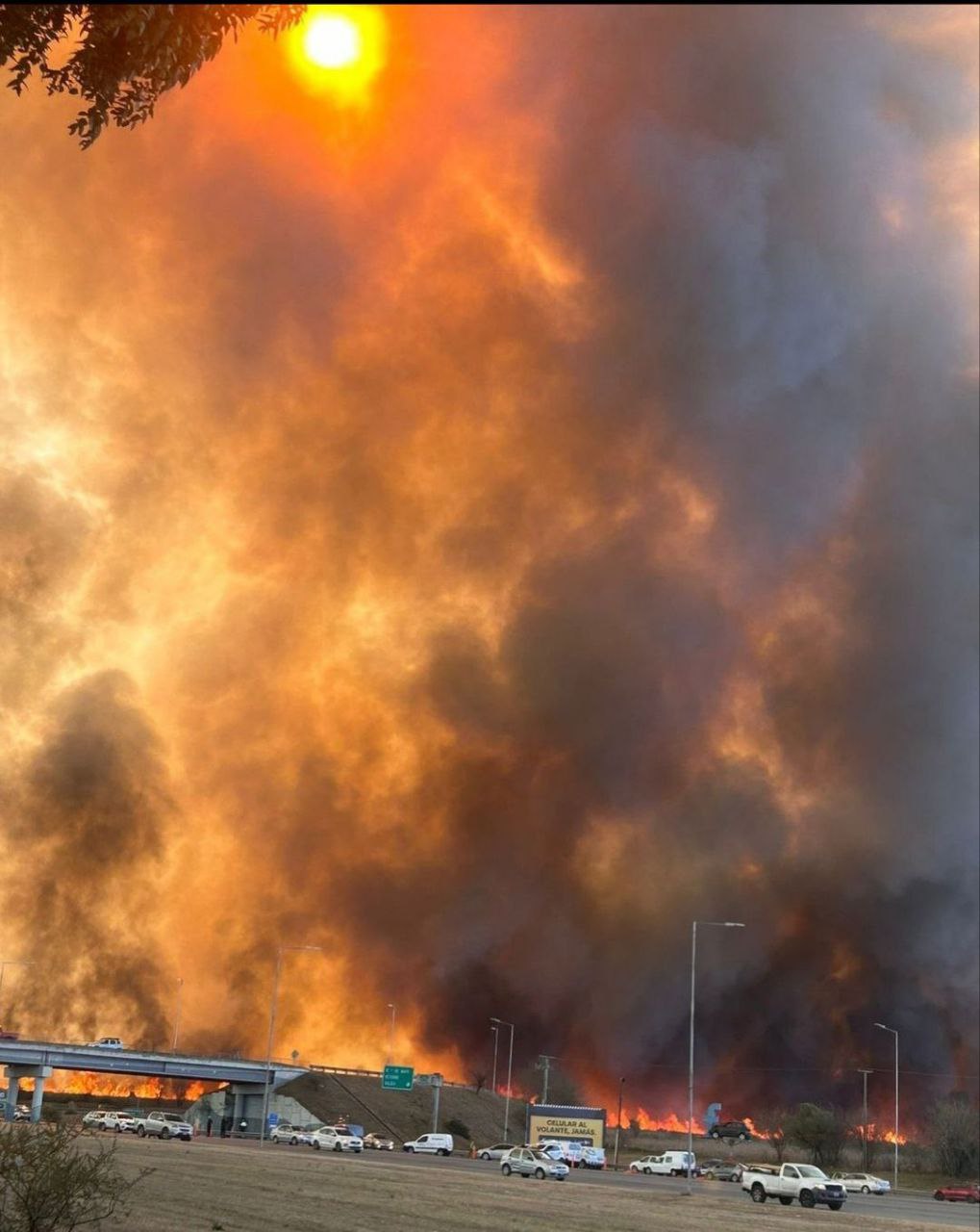 incendi argentina