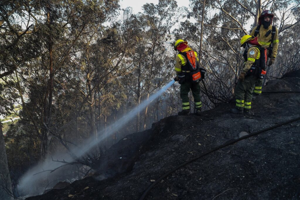 incendi ecuador