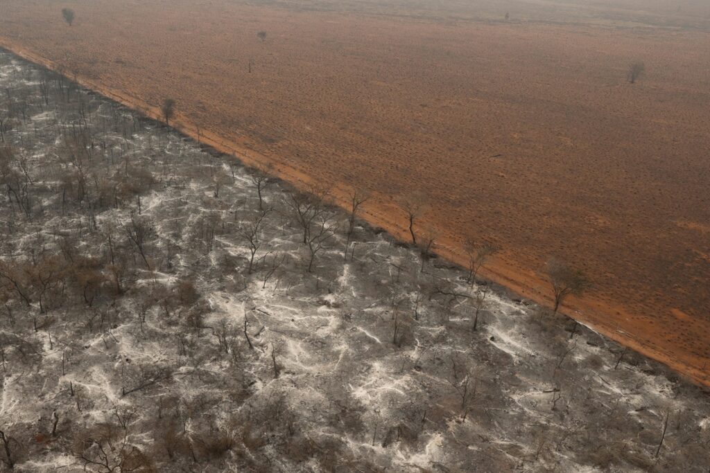 incendi paraguay