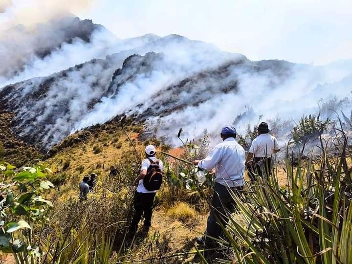 incendi perù