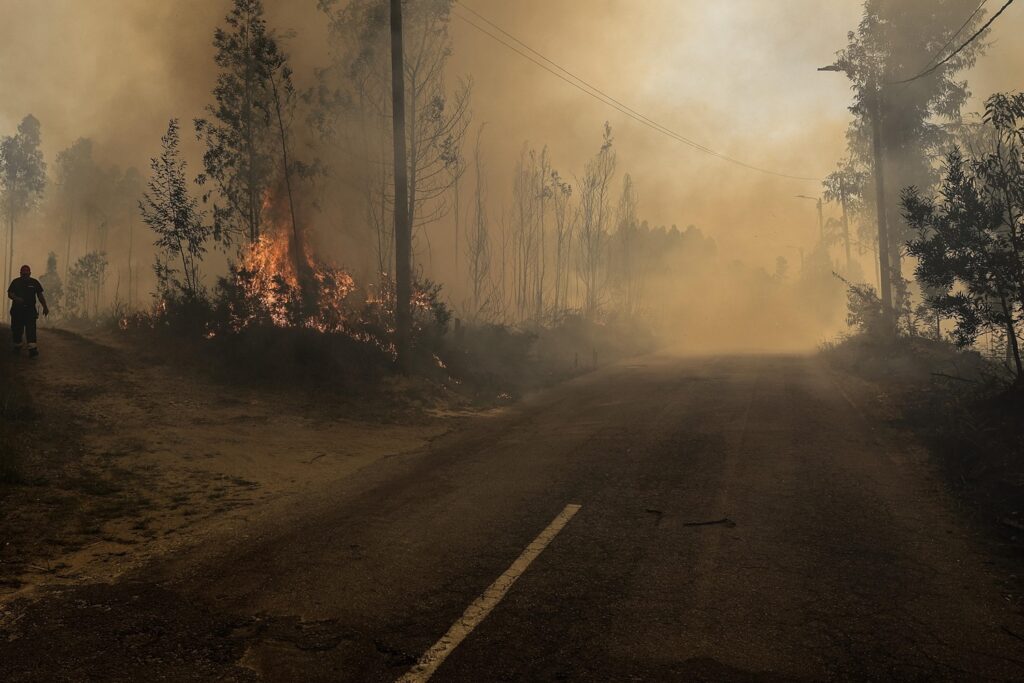 incendi portogallo