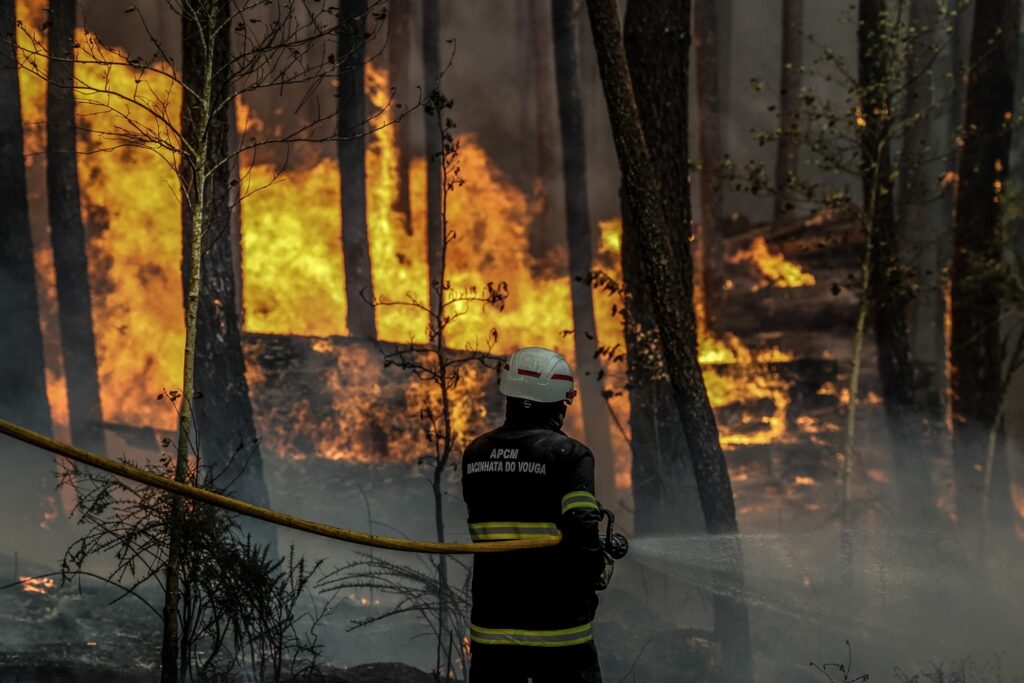 incendi portogallo