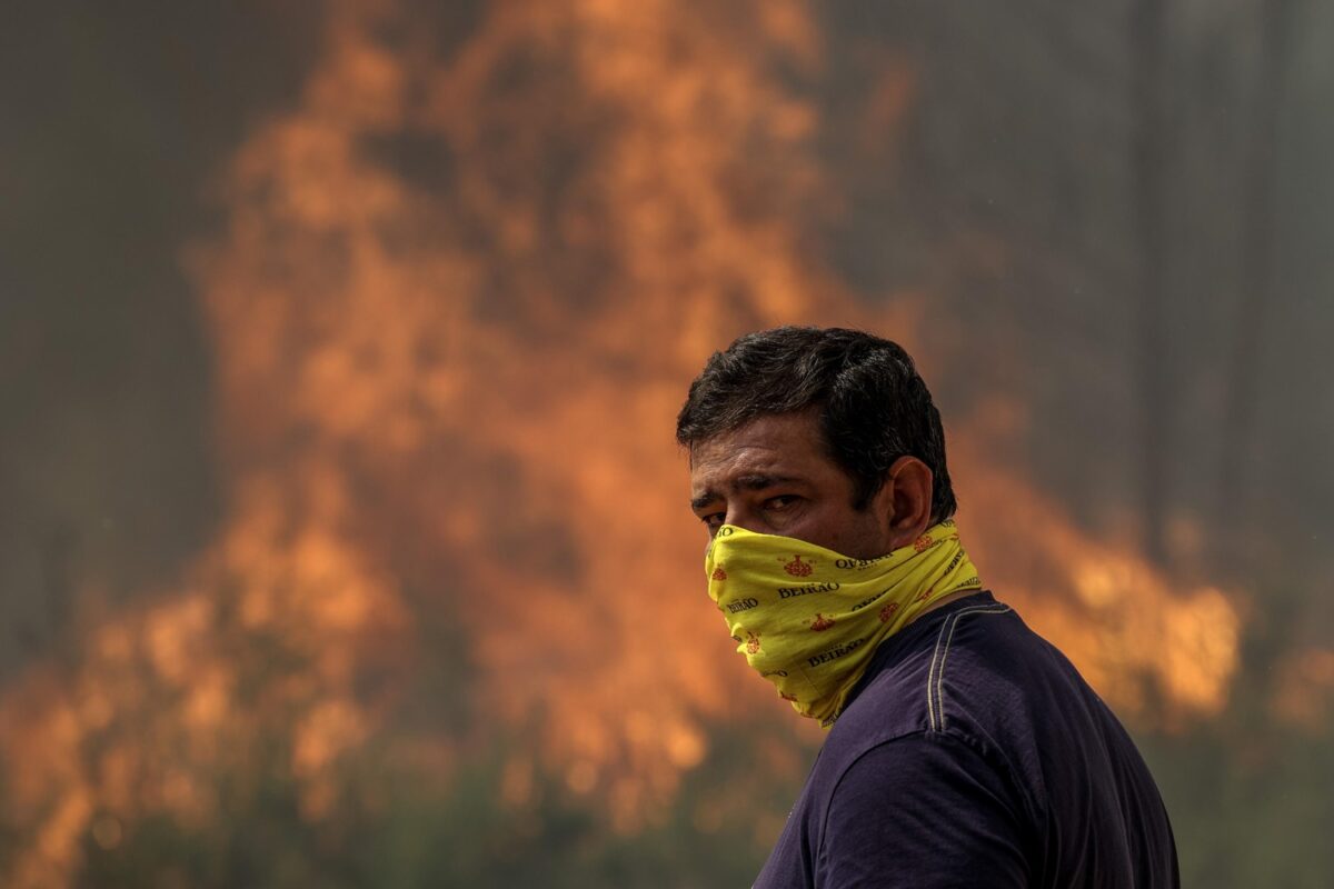 incendi portogallo