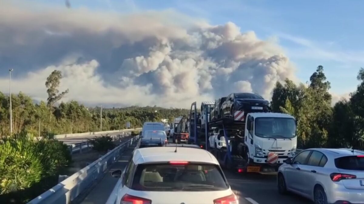 incendi portogallo