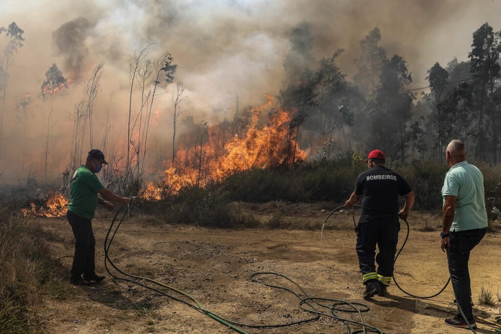 incendi portogallo