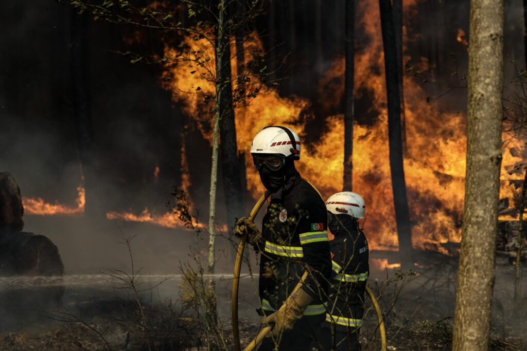 incendi portogallo