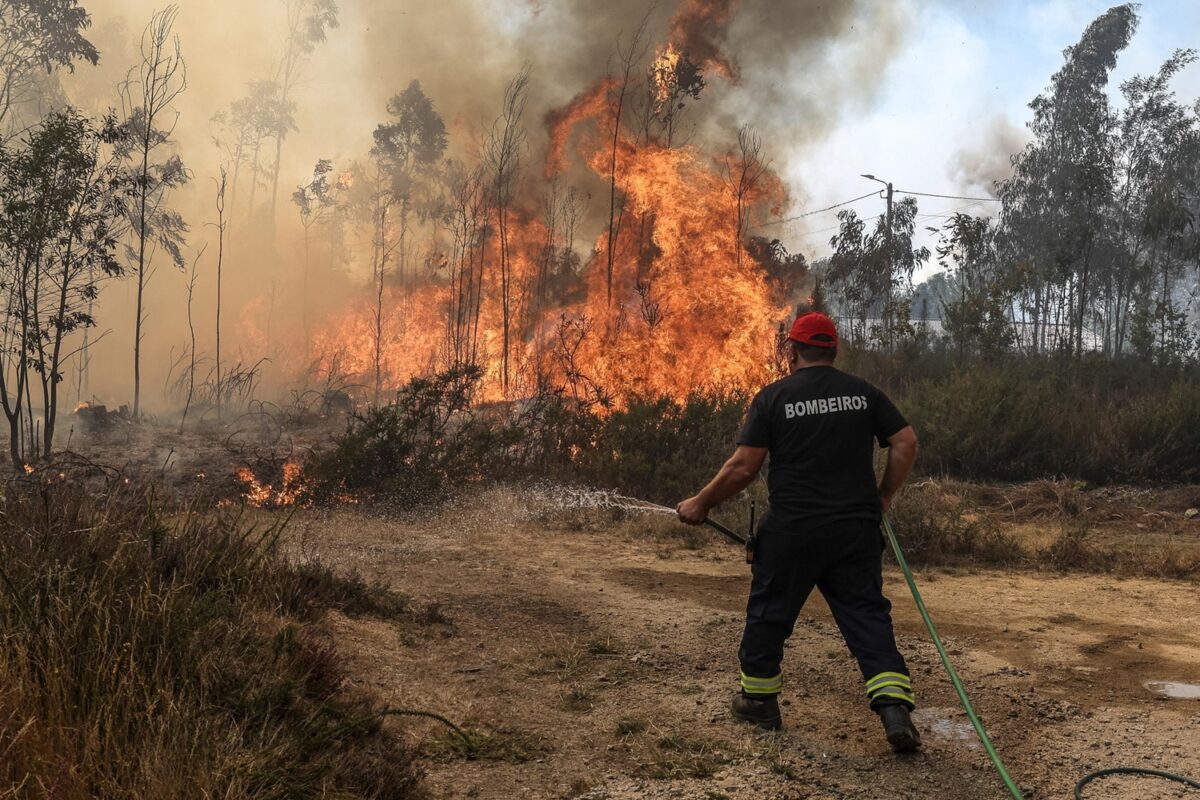 incendi portogallo