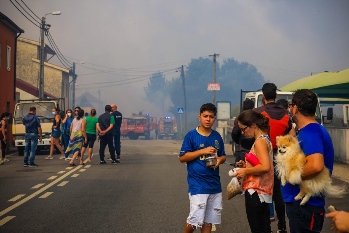 incendi portogallo