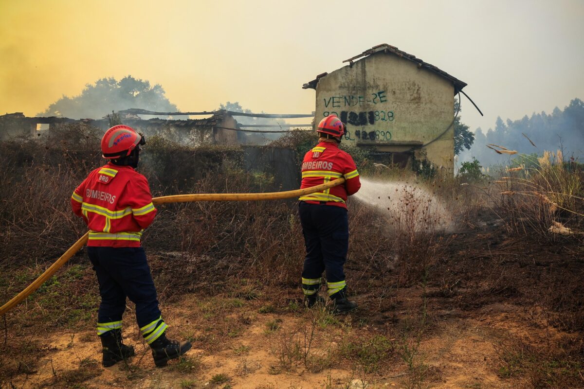 incendi portogallo