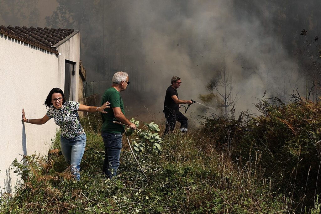 incendi portogallo