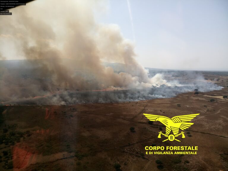 incendi sardegna