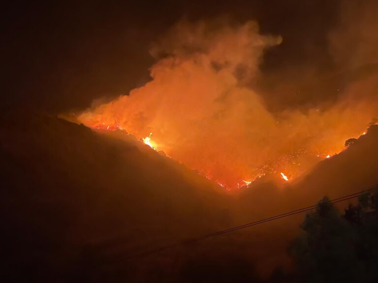 incendio palizzi marina calabria