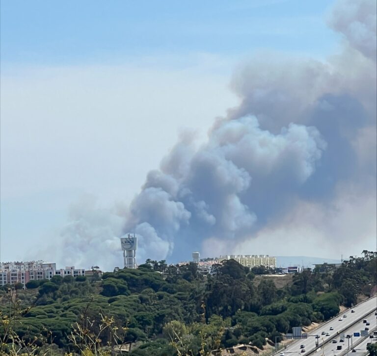 incendio portogallo