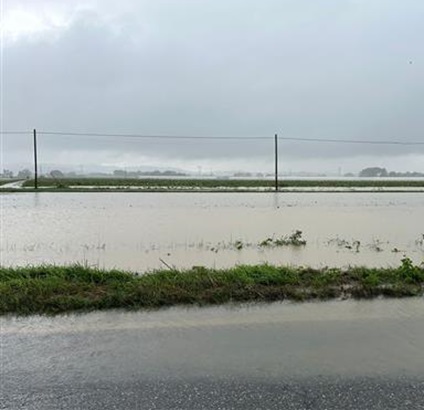 maltempo forlì