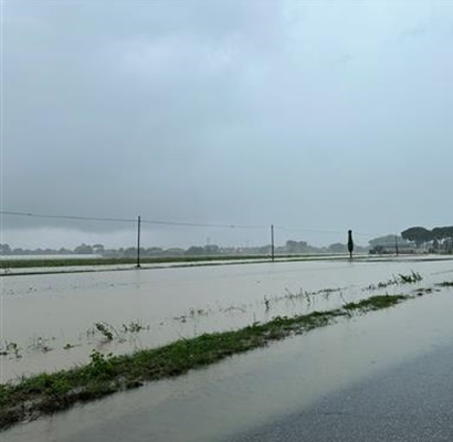 maltempo forlì